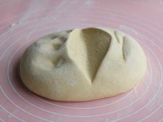 5、玉米面馒头,倒入发酵好的面团里充分揉均匀，切开面团看，组织里有小小的孔；