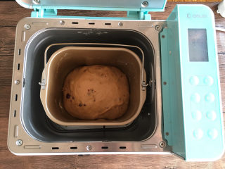 5、红糖蔓越莓吐司,30分钟后面团发酵至原来的2倍大左右。