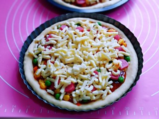 10、罗勒意式披萨,再撒上一层马苏里拉芝士。