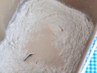 2、披萨派对面包,放入高粉、全麦粉、酵母,启动面包机,选择生面团功能。