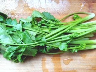 5、黄瓜腐竹大拌菜,香菜摘好洗净