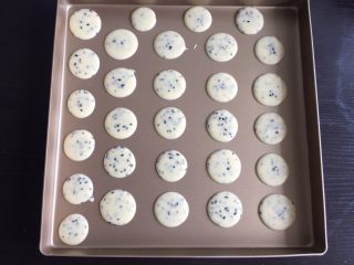 12、黑芝麻薄饼干,挤入烤盘，裱花袋剪个小口就行了，只要芝麻能通过