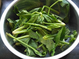 1、菠菜蝴蝶面,菠菜洗净