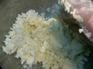 9、玛格丽特,带上手套,搅拌均匀。和成面团壮。