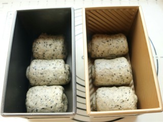 12、中种法黑芝麻吐司,全部做好放入吐司模具，开始2发，盖保鲜膜放在有阳光的地方，很快能发好，8、9分满即可。
