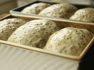 13、中种法黑芝麻吐司,二发后的吐司，表面刷好蛋液。