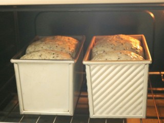 14、中种法黑芝麻吐司,送入预热150度的烤箱，下层烤40分钟。烤5分钟后表面加盖锡纸避免表面上色过重。