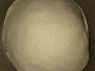 5、牛肉蔬菜披萨,和成光滑的面团发酵两小时