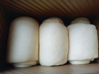 10、蔓越莓吐司面包,二次发酵好的面包卷是原来的2倍大，这时可以进行烘烤了。烤箱180度预热5分钟，1磨具入烤箱中层180度烤30-35分钟。(时间和温度要根据自家的烤箱性能另定) 注意观察颜色，必要时覆盖一张锡纸，吐司磨具盖上盖子烤也可以的。