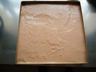 12、巧克力裸蛋糕,用刮板刮平,在桌子上震几下,震出气泡。预热烤箱170℃上下火烤18-20分钟。