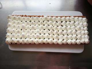 16、巧克力裸蛋糕,铺一层蛋糕片,在蛋糕片上挤上规则的奶油花。