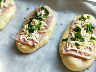 19、香葱培根芝士面包,撒上马苏里拉芝士和切好的葱花。 放入烤箱，上下管185度烤18-20分钟，注意观察颜色，必要时盖一张锡纸。