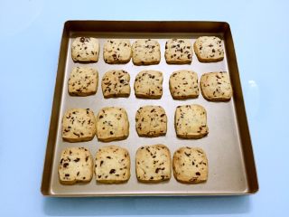 16、蔓越莓饼干,烤至表面金黄色即可