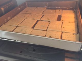 13、香葱味苏打饼干,预热结束，把烤盘放进烤箱中层180度15min