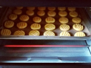 13、花生酱小饼干,烤箱175度预热5分钟，之后将烤盘放入烤箱中层，上下火175度烤10-12分钟。(具体时间及温度还要根据自家烤箱性能来定)