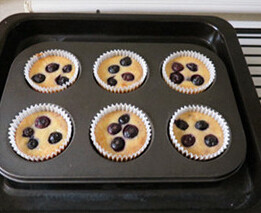 12、蓝莓乳酪蛋糕,烤箱预热180度，烤盘里倒入热水，将模具放入烤盘随后放入烤箱，烤35分钟左右