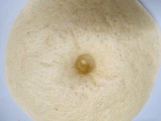 33、芝心土豆泥素菜披萨,面团发酵好了。