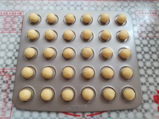 11、黄金椰蓉球,所有的椰蓉球全部搓圆放到模具上