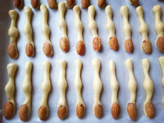 15、#万圣节#女巫手指饼干,依次做完，整齐摆放再烤盘里，并间隔一点距离。