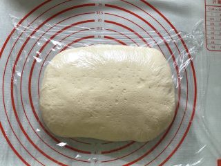 10、奥尔良卷边披萨,面团发酵好了