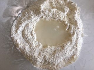 2、蔬菜牛肉披萨,加入水