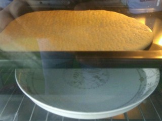 7、自制披萨和面托,如图，这是我的在烤箱里的醒发图片，没有喷壶可以下面放一盘子水