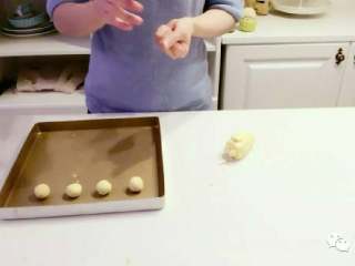 5、宝宝辅食:玛格丽特饼干,取出面团,揉成一个个小圆球放在烤盘上,大小不要相差太大,给小朋友吃可以小个一点,我差不多每个10g左右。