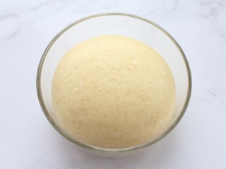 2、香蕉芒果披萨——九寸,将揉好的面团覆盖保鲜膜，放温暖处发酵至原来的2.5倍大