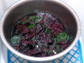 2、夏日冰饮【紫苏柠檬汁】,洗净备用