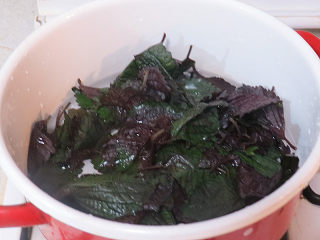 3、夏日冰饮【紫苏柠檬汁】,锅中入800ml清水,水沸腾后放入紫苏叶