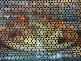 1、水果披萨????DIY,苹果➕黄油先炒