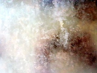 13、~方形披萨,准备烤盘。