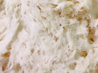 3、芒果披萨,发酵成蜂窝煤状。