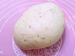 12、田园披萨,揉匀后松弛十分钟。