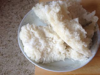 1、烤肉焗饭,剩饭，若干。