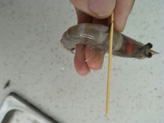 1、西兰花虾仁鸡蛋派,把虾先去尾线