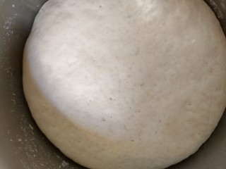 22、中式点心+钱袋白菜肉包,我们看一下发好的面，