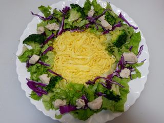 17、圣诞花环沙拉盘,在放上鸡胸肉。