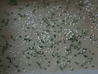 7、香葱肉松蛋糕卷,烤盘放白芝麻和葱花。