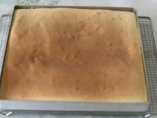 9、香葱肉松蛋糕卷,烤箱180度预热，烤15分钟左右。