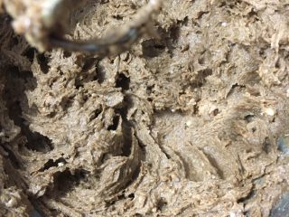 13、香甜枣泥糕,再次搅匀