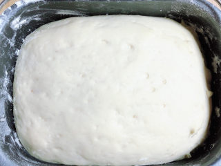 3、芝士榴莲披萨,面揉好了，盖上盖子发酵30分钟，面发好了。