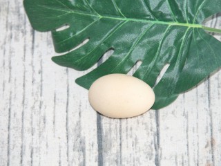 1、双色冰淇淋曲奇,准备一个鸡蛋