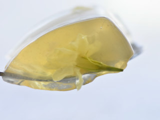 12、果冻,琼枝做的果冻,口感偏脆爽些。如果不加水果,也可以直接静置成型后,用刮丝器,刮成丝,做凉拌菜。