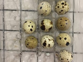 5、美味焗吐司,一点小确幸，可以加点鹌鹑蛋。