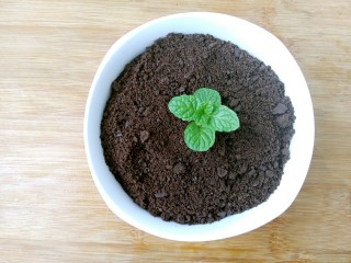 12、奥利奥酸奶盆栽,取一个植物类的装饰物，（这个可以根据自己的想象力自由发挥）插在奥利奥上边。