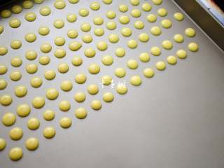 11、香浓蛋奶黄金豆,这个时候可以把烤箱先预热上了，预热温度160度。开始挤黄金小豆豆了，这是一个耐心活儿。