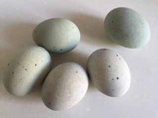 1、凉拌皮蛋,准备皮蛋。