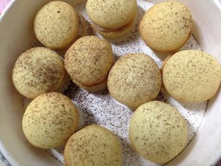 14、提拉米苏小饼干,表面撒可可粉装饰，之后放在保鲜盒里就好了