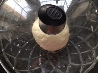 2、披萨,盖上盖子或者保鲜膜，放在温度较高的地方发酵至两倍大。